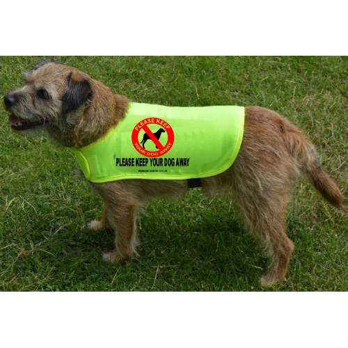 Keep Your Dog Away - Fluorescent Neon Yellow Dog Coat Jacket
