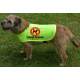 Please Keep Your Dog Away - Fluorescent Neon Yellow Dog Coat Jacket