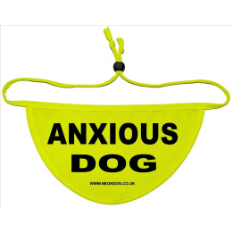 Anxious Dog - Fluorescent Neon Yellow Dog Bandana