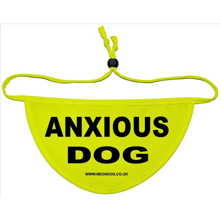 Anxious Dog - Fluorescent Neon Yellow Dog Bandana