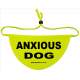 Anxious Dog - Fluorescent Neon Yellow Dog Bandana