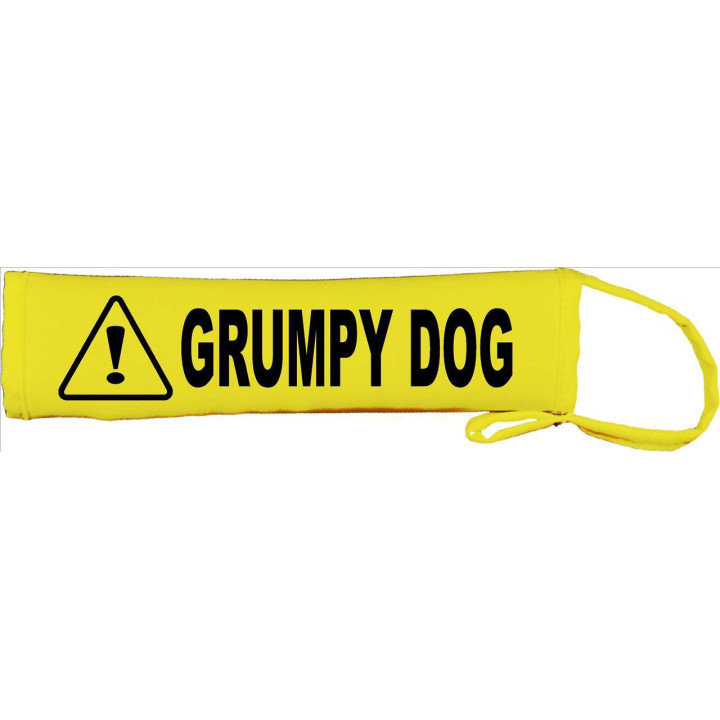 Grumpy Dog - Fluorescent Neon Yellow Dog Lead Slip