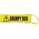 Grumpy Dog - Fluorescent Neon Yellow Dog Lead Slip