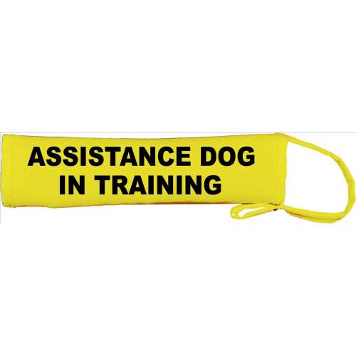 Assistance Dog In Training - Fluorescent Neon Yellow Dog Lead Slip