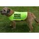 Space Needed - recovering from surgery - Fluorescent Neon Yellow Dog Coat Jacket