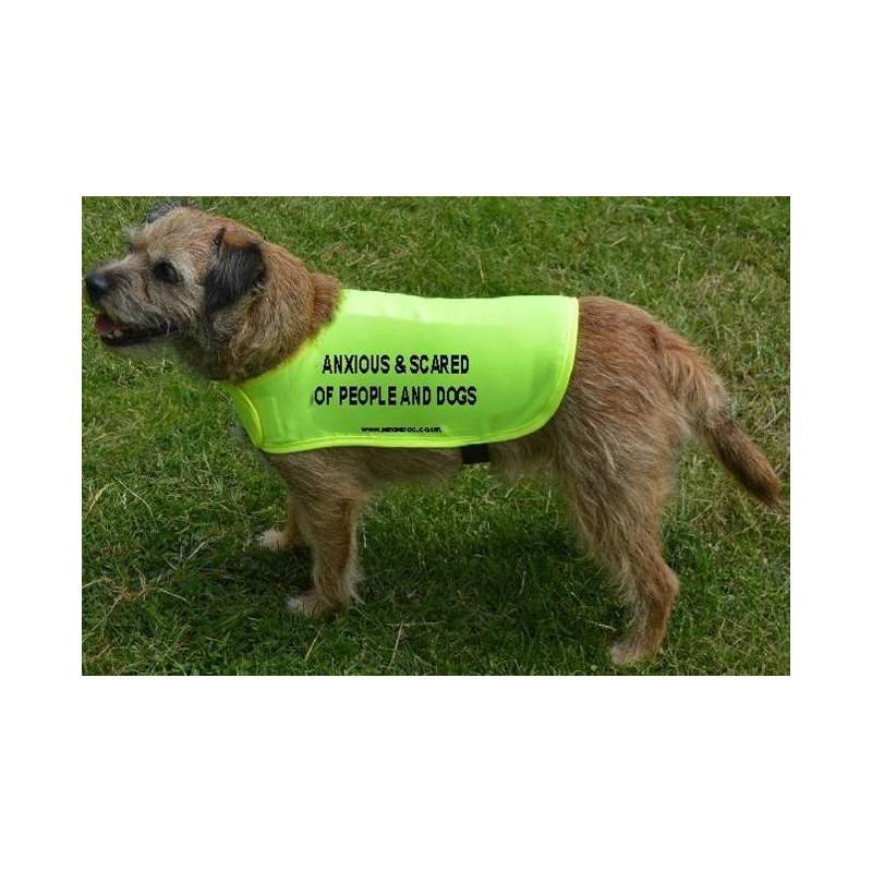 Anxious and scared of people and dogs - Fluorescent Neon Yellow Dog Coat Jacket