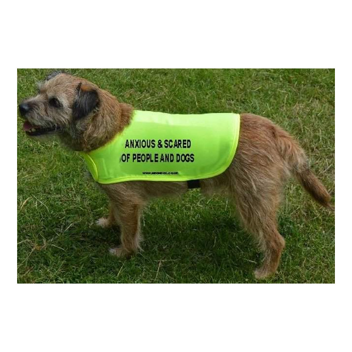 anxious and scared of people and dogs  - Fluorescent Neon Yellow Dog Coat Jacket