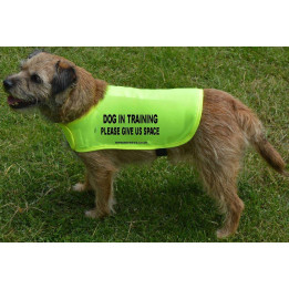 Dog in training - please give us space  - Fluorescent Neon Yellow Dog Coat Jacket