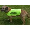 Dog in training - please give us space - Fluorescent Neon Yellow Dog Coat Jacket