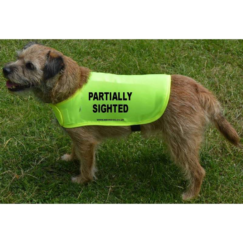partially sighted - Fluorescent Neon Yellow Dog Coat Jacket