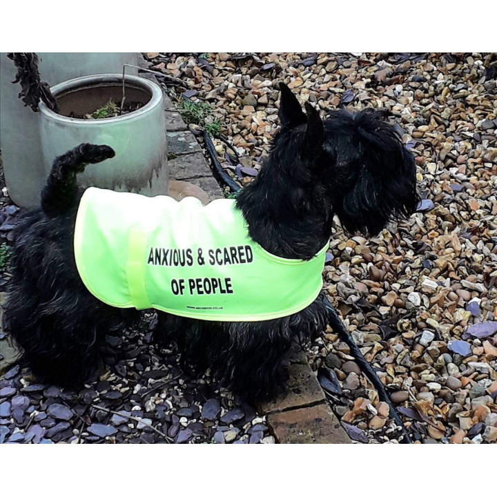 Anxious & Scared Of People - Fluorescent Neon Yellow Dog Coat Jacket