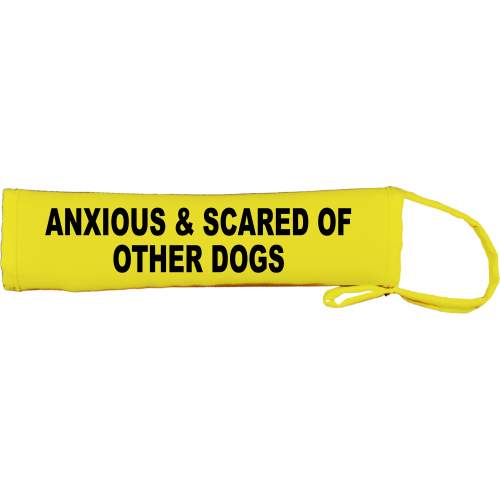 Anxious & Scared Of Other Dogs - Fluorescent Neon Yellow Dog Lead Slip