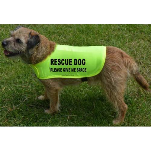 Rescue dog please give me space - Fluorescent Neon Yellow Dog Coat Jacket