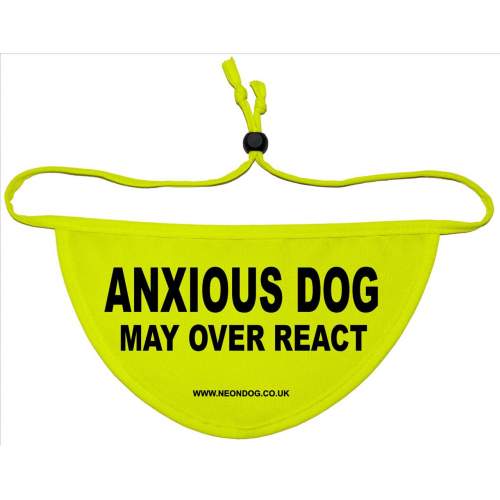 Anxious Dog May Over react - Fluorescent Neon Yellow Dog Bandana