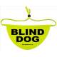 Blind Dog - Fluorescent Neon Yellow Dog Bandana
