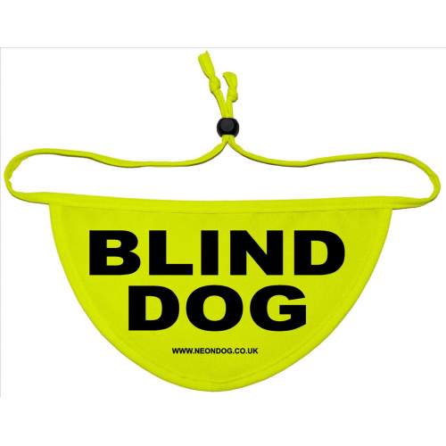 Blind Dog - Fluorescent Neon Yellow Dog Bandana