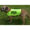 Assistance Dog In Training - Fluorescent Neon Yellow Dog Coat Jacket