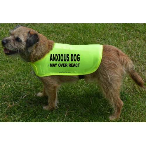 ANXIOUS DOG MAY OVER REACT - Fluorescent Neon Yellow Dog Coat Jacket