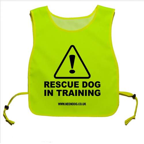 Caution Rescue Dog In Training - Fluorescent Neon Yellow Tabbard