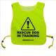 Caution Rescue Dog In Training - Fluorescent Neon Yellow Tabbard