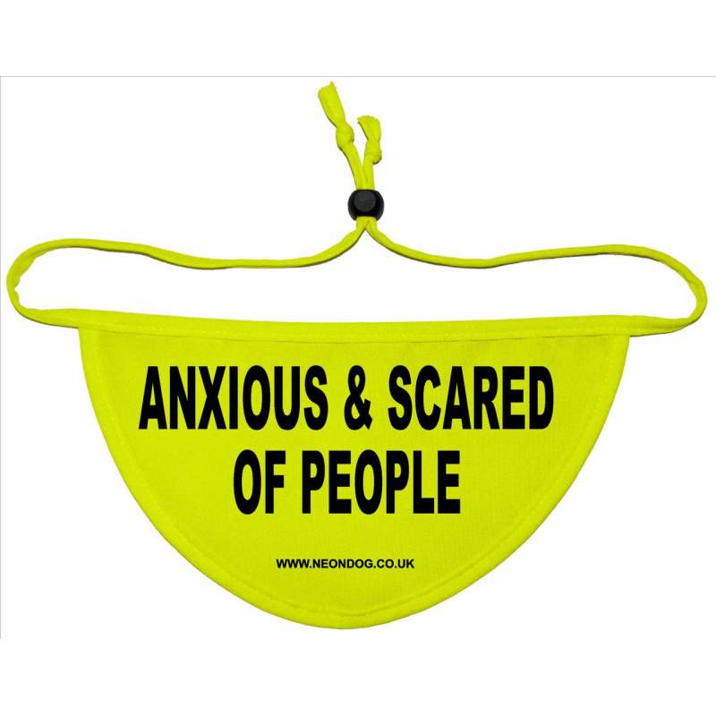 Anxious & Scared Of People - Fluorescent Neon Yellow Dog Bandana