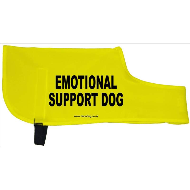 emotional support dog - Fluorescent Neon Yellow Dog Coat Jacket