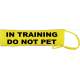 In Training Do Not Pet - Fluorescent Neon Yellow Dog Lead Slip
