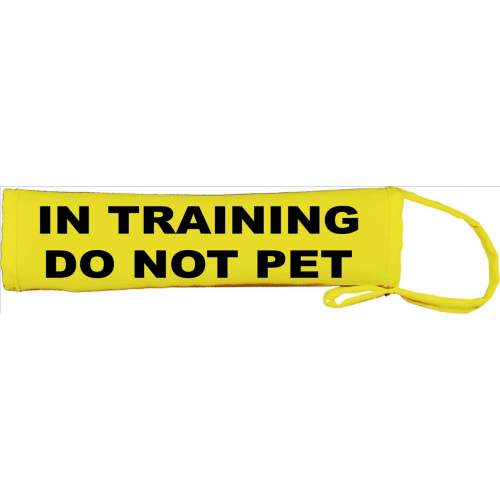 In Training Do Not Pet - Fluorescent Neon Yellow Dog Lead Slip