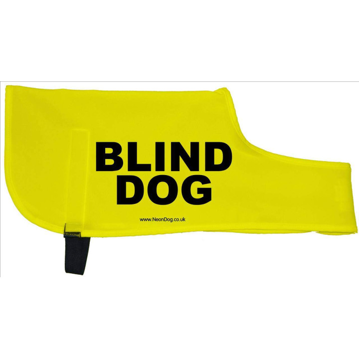 Blind Dog  - Fluorescent Neon Yellow Dog Coat Jacket