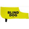 Blind Dog - Fluorescent Neon Yellow Dog Coat Jacket