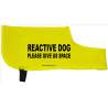 reactive dog please give us space - Fluorescent Neon Yellow Dog Coat Jacket