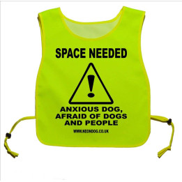 Space Needed anxious dog, afraid of dogs and people - Fluorescent Neon Yellow Tabard