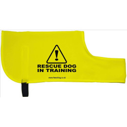 Caution Rescue Dog In Training   - Fluorescent Neon Yellow Dog Coat Jacket