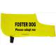 FOSTER DOG - Please adopt me - Fluorescent Neon Yellow Dog Coat Jacket