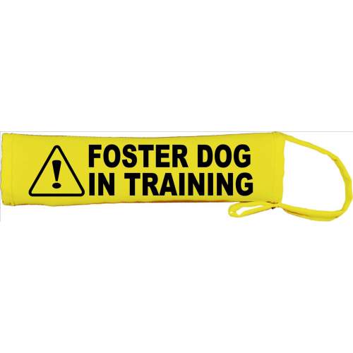 Foster Dog in Training - Fluorescent Neon Yellow Dog Lead Slip