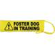 Foster Dog in Training - Please adopt me - Fluorescent Neon Yellow Dog Lead Slip