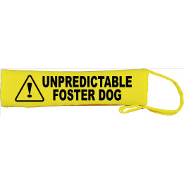 Unpredictable Foster Dog- Please adopt me - Fluorescent Neon Yellow Dog Lead Slip