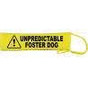 Assistance Dog Please Do Not Distract - Fluorescent Neon Yellow Dog Lead Slip