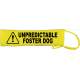 Unpredictable Foster Dog- Please adopt me - Fluorescent Neon Yellow Dog Lead Slip