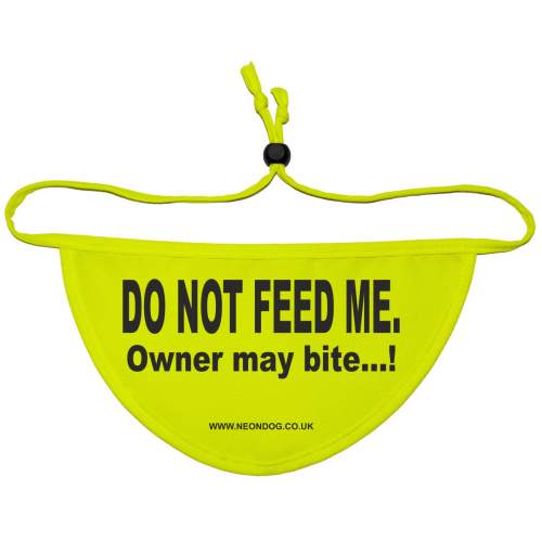 Space Needed - Fluorescent Neon Yellow Dog Bandana