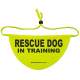 Caution Rescue Dog In Training - Fluorescent Neon Yellow Dog Bandana