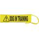 Caution Dog In Training Lead - Fluorescent Neon Yellow Dog Lead Slip