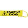 Keep Your Dog Away - Fluorescent Neon Yellow Dog Lead Slip