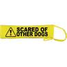 Keep Your Dog Away - Fluorescent Neon Yellow Dog Lead Slip