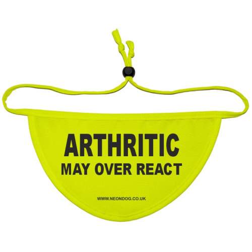 Arthritic - May over react - Fluorescent Neon Yellow Dog Bandana