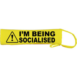 Warning I'm Being Socialised - Fluorescent Neon Yellow Dog Lead Slip