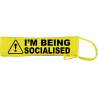 Keep Your Dog Away - Fluorescent Neon Yellow Dog Lead Slip