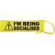 Warning I'm Being Socialised - Fluorescent Neon Yellow Dog Lead Slip