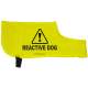Caution Reactive Dog - Fluorescent Neon Yellow Dog Coat Jacket