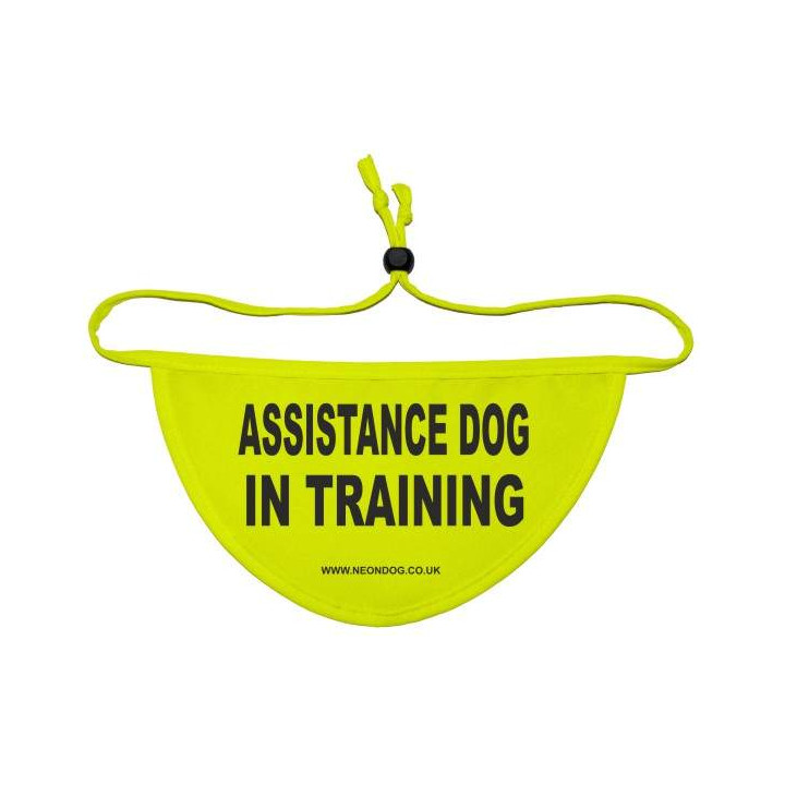Assistance Dog In Training - Fluorescent Neon Yellow Dog Bandana